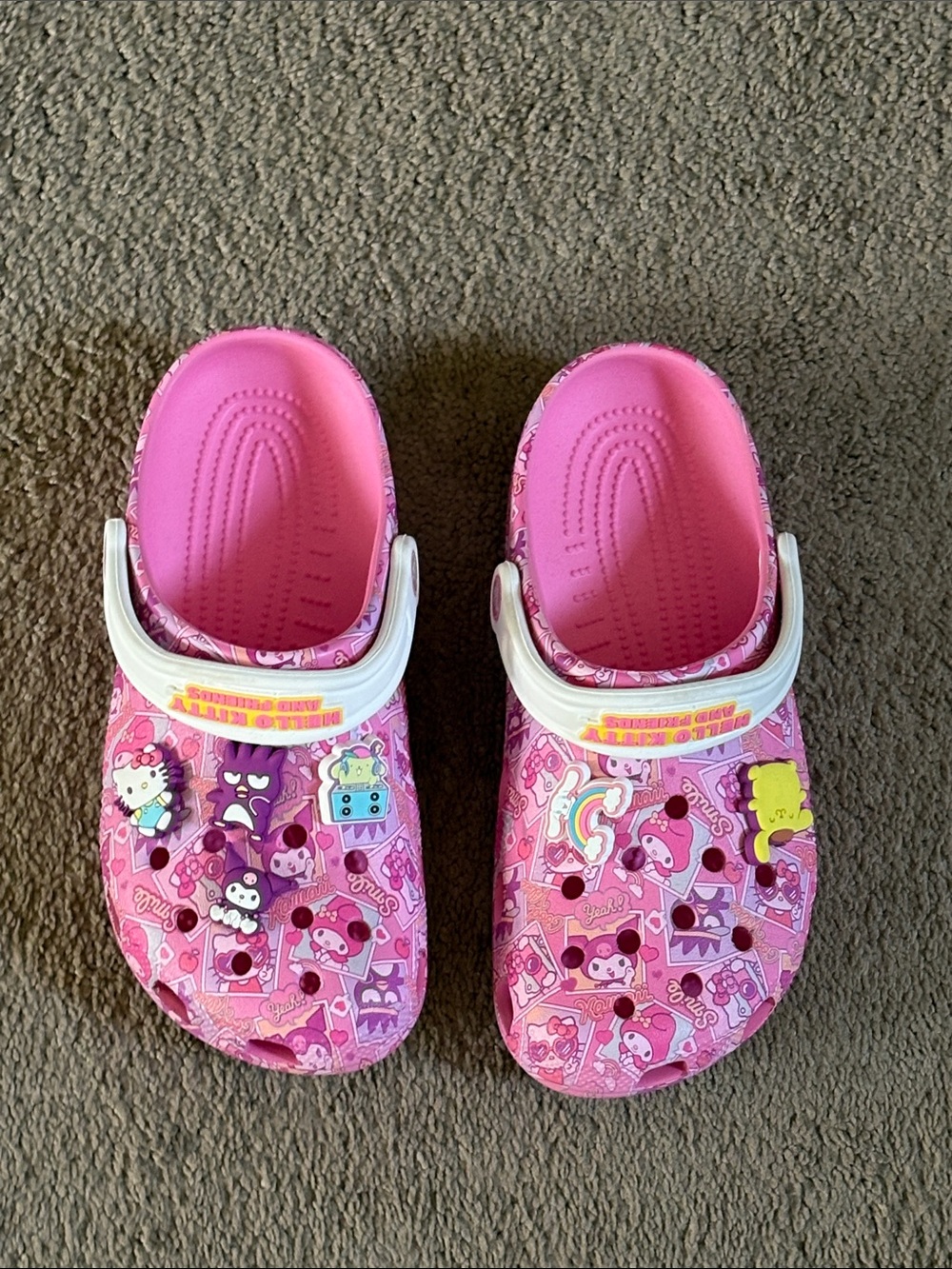 Women’s Adult Crocs, Classic Clogs